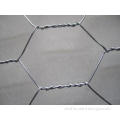 Stainless steel Galvanized Chicken Wire Mesh For Garden / P